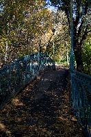 «Старый мостик» Лаврова Полина Романовна