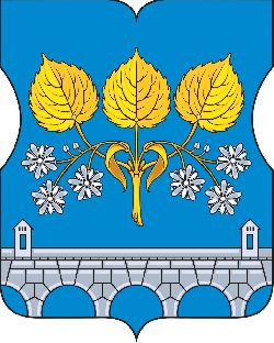 Видеозапись очередного заседания Совета депутатов 24 марта 2026 года