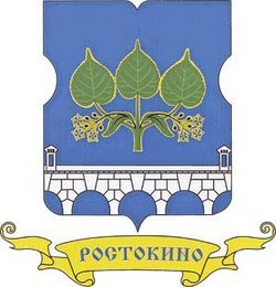 Видеозапись заседания Совета депутатов 14 октября 2014 года № СД-10-2014